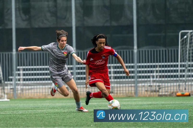 爱游戏最新官方平台平台生态图